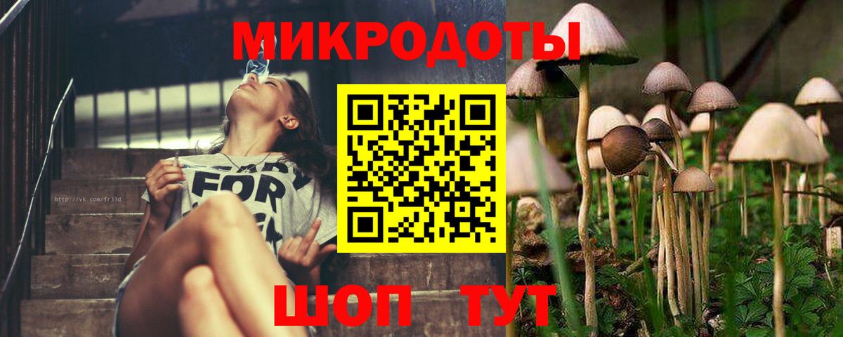 Галлюциногенные грибы GOLDEN TEACHER Борзя