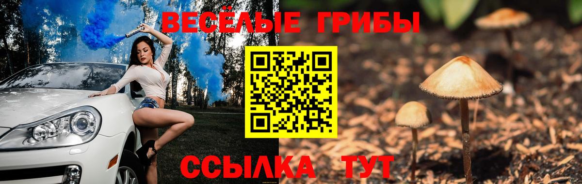 цены   Галлюциногенные грибы Psilocybe  Борзя  Вход с VPN  Галлюциногенные грибы прущие грибы 